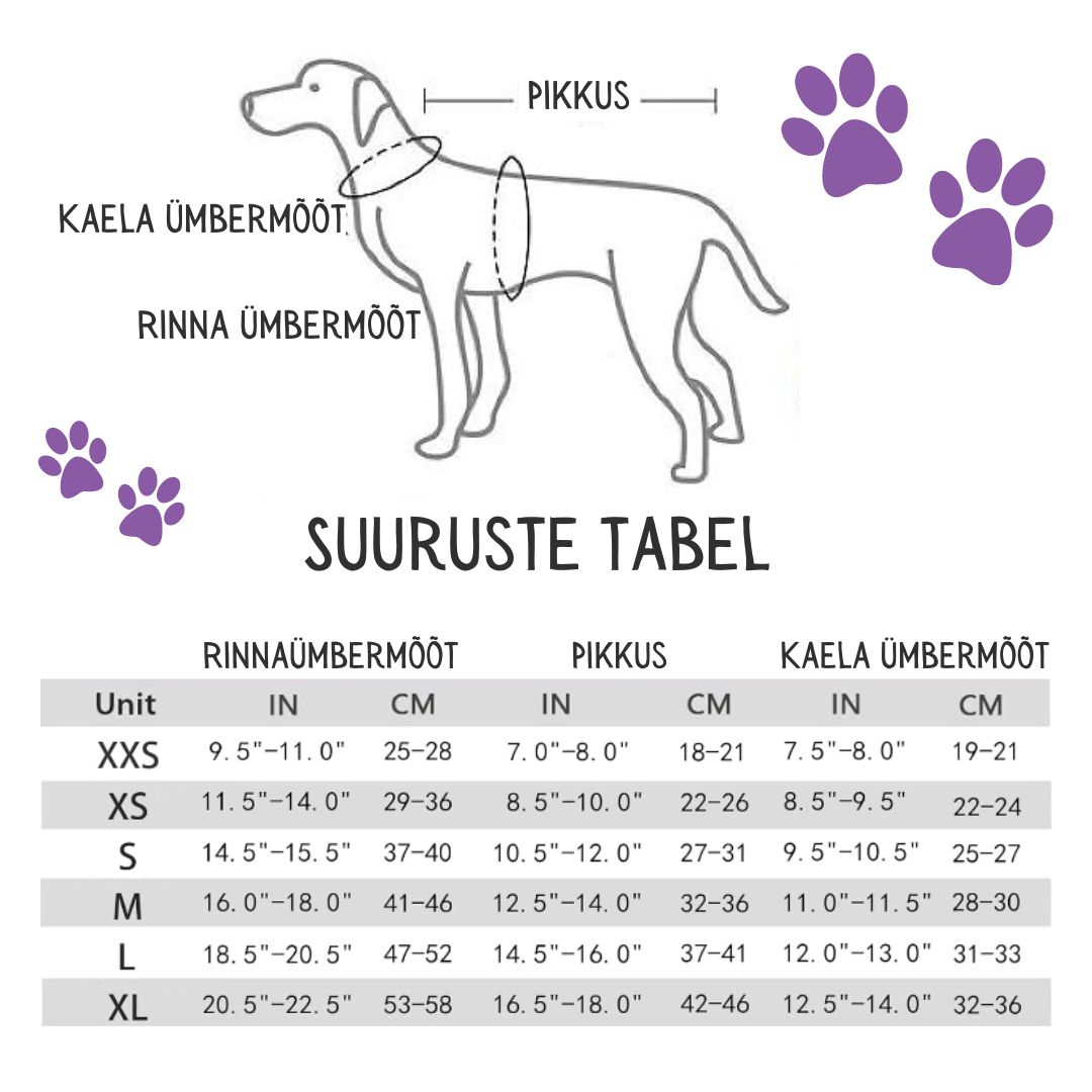 Koerte jope kapuutsiga